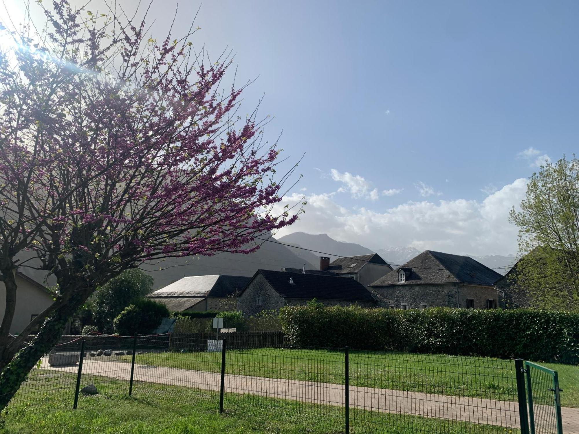 La Suite Unique - Le Jardin Sur Les Pyrenees- Vue Panoramique Montagne -Jardin Cloture Prive De 100M2-Parking-Linge De Lit Et Serviettes Compris- Bielle Eksteriør bilde