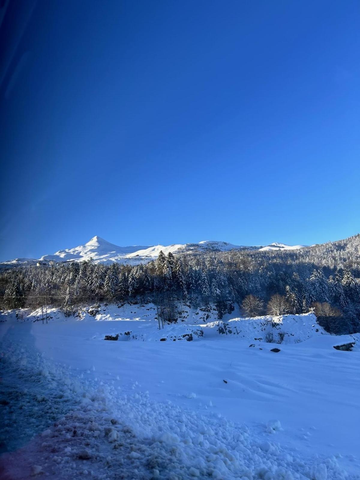 La Suite Unique - Le Jardin Sur Les Pyrenees- Vue Panoramique Montagne -Jardin Cloture Prive De 100M2-Parking-Linge De Lit Et Serviettes Compris- Bielle Eksteriør bilde