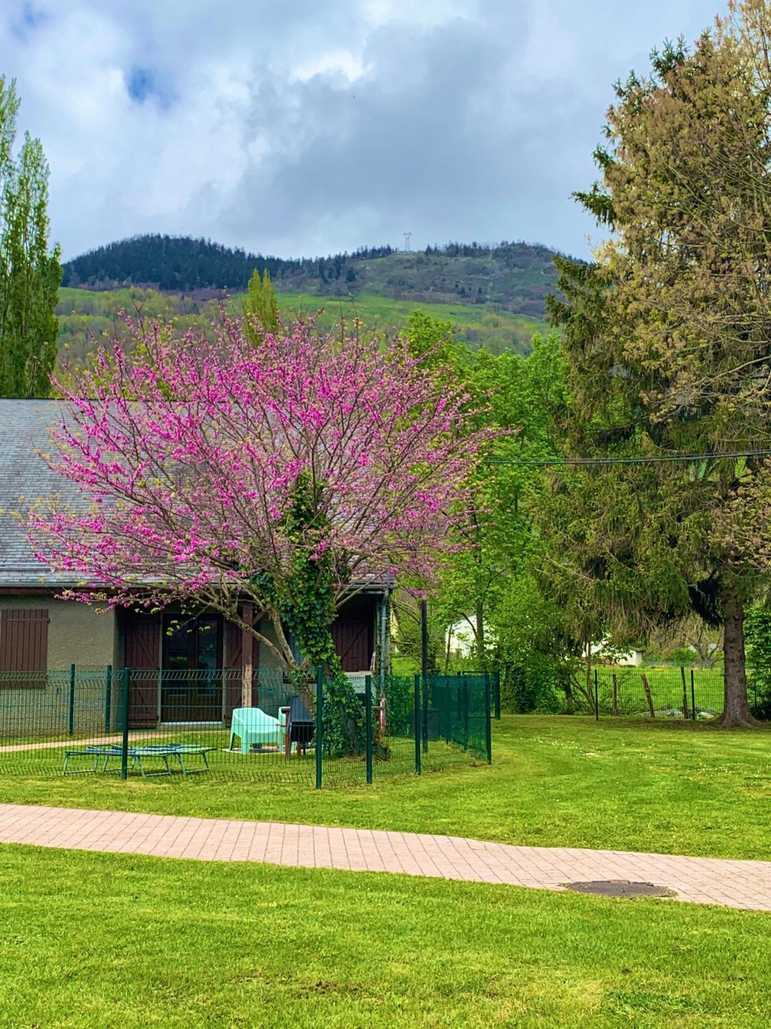 La Suite Unique - Le Jardin Sur Les Pyrenees- Vue Panoramique Montagne -Jardin Cloture Prive De 100M2-Parking-Linge De Lit Et Serviettes Compris- Bielle Eksteriør bilde
